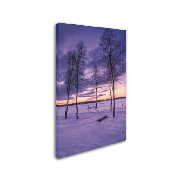 Philippe Sainte-Laudy 'Sunset Mist' Canvas Art,22x32
